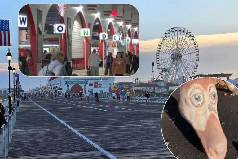 OCNJ Daily